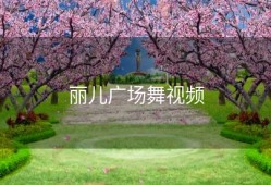 丽儿广场舞视频