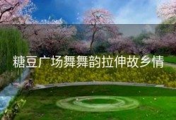 糖豆广场舞舞韵拉伸故乡情