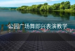 公园广场舞即兴表演教学