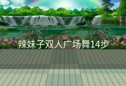 辣妹子双人广场舞14步