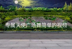 专属天使广场舞简单的视频