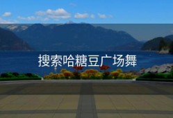 搜索哈糖豆广场舞