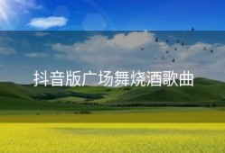 抖音版广场舞烧酒歌曲