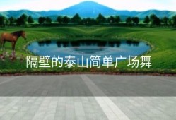 隔壁的泰山简单广场舞