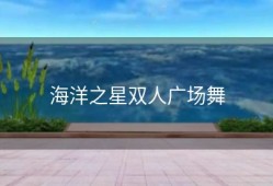 海洋之星双人广场舞