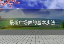 最新广场舞的基本步法