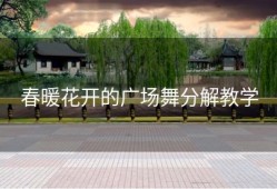 春暖花开的广场舞分解教学