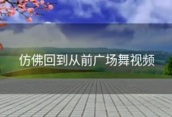 仿佛回到从前广场舞视频
