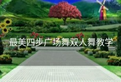最美四步广场舞双人舞教学
