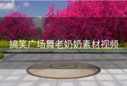 搞笑广场舞老奶奶素材视频