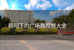 朝阳下的广场舞视频大全