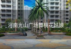 河南光山广场舞桃花姑娘