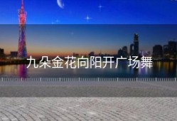 九朵金花向阳开广场舞