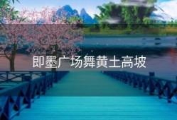 即墨广场舞黄土高坡