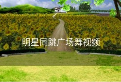 明星同跳广场舞视频