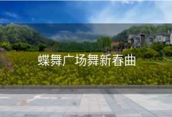 蝶舞广场舞新春曲