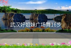 武汉好姐妹广场舞16步