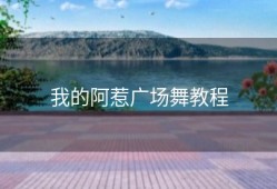 我的阿惹广场舞教程