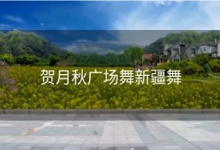 贺月秋广场舞新疆舞