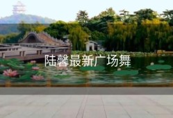 陆馨最新广场舞