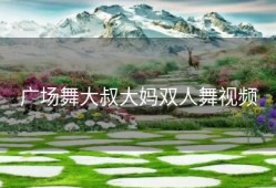 广场舞大叔大妈双人舞视频