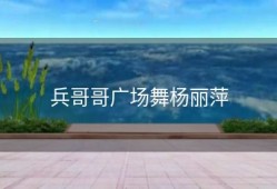 兵哥哥广场舞杨丽萍