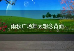 雨秋广场舞太想念背面