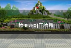 杨丽萍dj广场舞