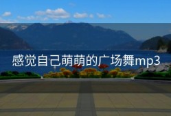 感觉自己萌萌的广场舞mp3