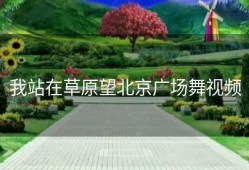我站在草原望北京广场舞视频