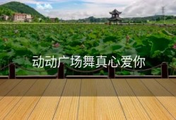 动动广场舞真心爱你