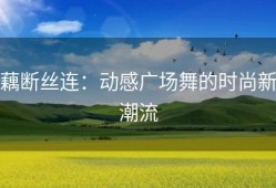 藕断丝连：动感广场舞的时尚新潮流