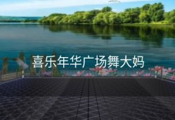 喜乐年华广场舞大妈