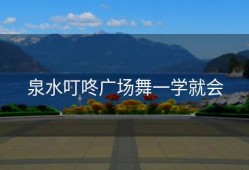泉水叮咚广场舞一学就会