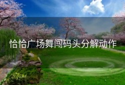 恰恰广场舞闯码头分解动作