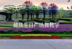 藏族生日广场舞教学