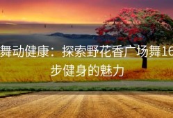 舞动健康：探索野花香广场舞16步健身的魅力