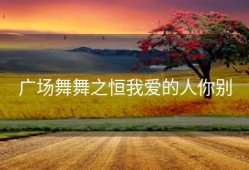 广场舞舞之恒我爱的人你别