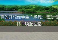 真的好想你金曲广场舞：舞动情怀，唤起回忆