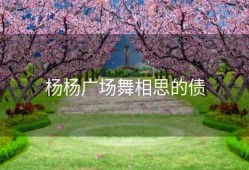 杨杨广场舞相思的债