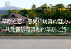 草原之恋：感受广场舞的魅力，共赴音乐与舞蹈的草原之旅