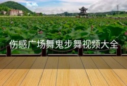 伤感广场舞鬼步舞视频大全