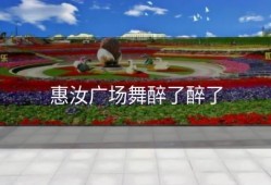 惠汝广场舞醉了醉了