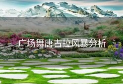 广场舞唐古拉风暴分析