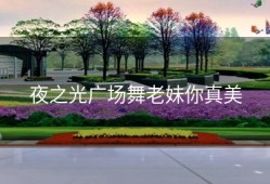 夜之光广场舞老妹你真美
