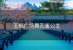王梅广场舞孔雀公主
