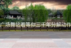 广场舞站着等你三千年分解动作