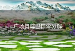 广场舞尊巴口令分解