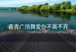 青青广场舞爱你不离不弃
