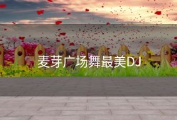 麦芽广场舞最美DJ